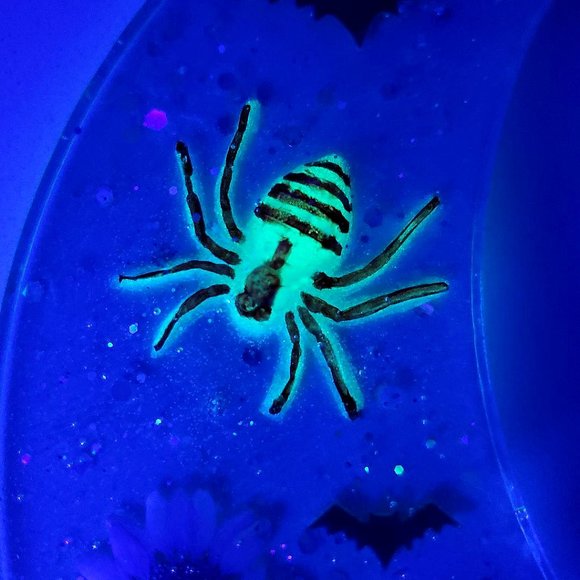 Large Halloween Moon/Spider/Bats/Cat/Flowers - Picture 5 of 5